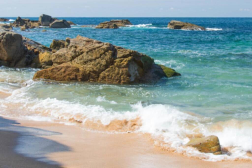Le Petit Cote Ouest - Appt Dans Les Pins Pres De La Plage Les Sables-d'Olonne Exterior photo