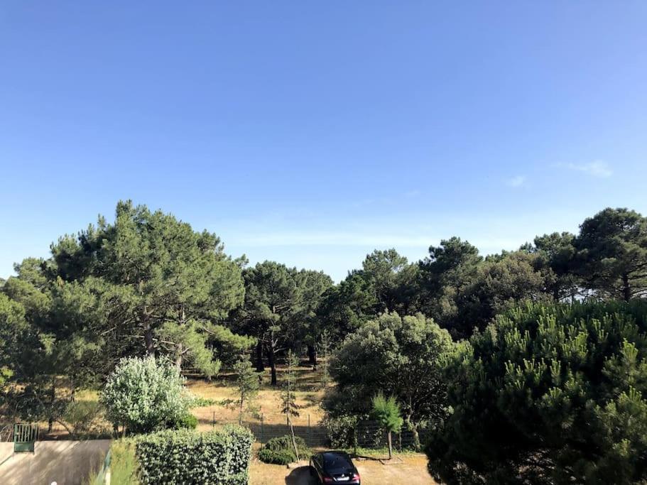 Le Petit Cote Ouest - Appt Dans Les Pins Pres De La Plage Les Sables-d'Olonne Exterior photo